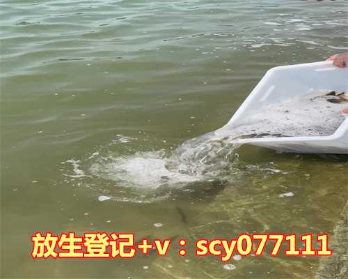 杭州放生泥鳅和放生鱼的区别(放生泥鳅犯法吗)