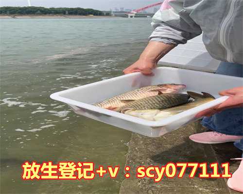 南京哪里可以放生鱼类的鱼，日本阿含宗代表洪峰先生参访南京牛首山