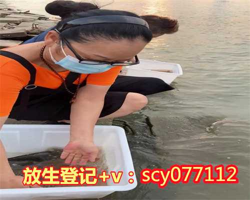 南京哪个湖可以放生鱼，江苏省天主教“两会”办公会在南京召开