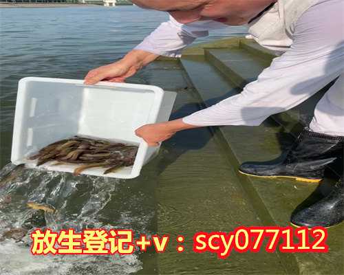 江苏放生法会随喜功德多少钱，江苏公园可以放生松鼠吗，江苏黄浦江放生地点