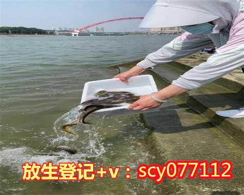 放生鱼的视频江苏，2023可以放生小红鱼吗？【江苏在哪里放生】